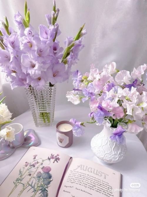 Секрет женского счастья прост: заботливый мужчина, новые туфли, маникюр и подруга. 01