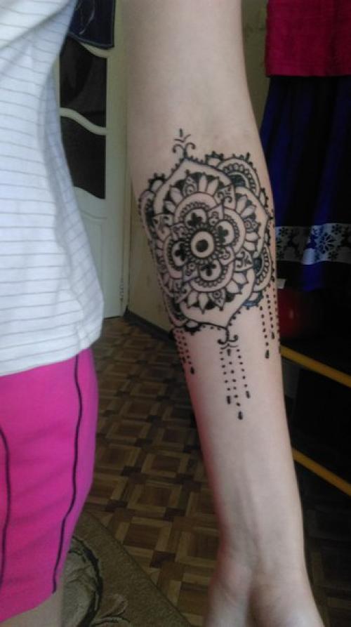 Мои дорогие кошечки? 02