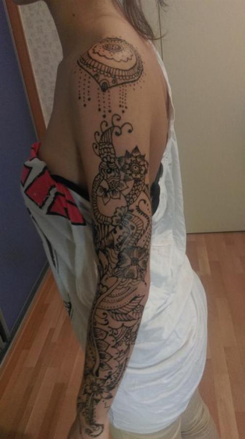 Мои дорогие кошечки? 01