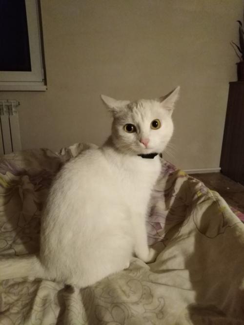 Я как то упустила момент и не рассказала вам про прибавление в семье. 02