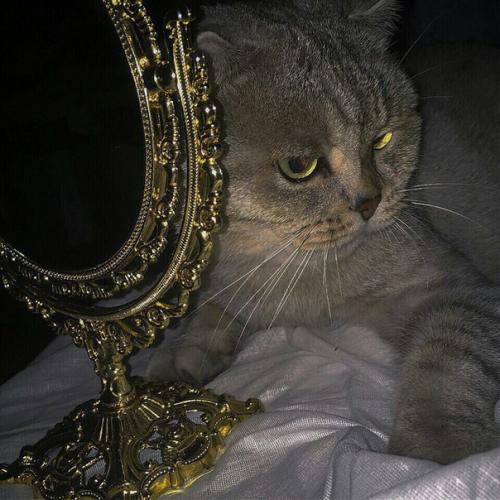 Статья о правильном уходе за ногтями. 01