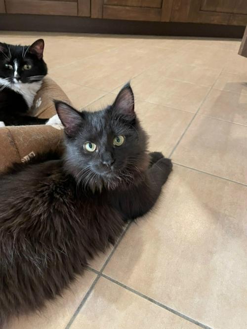 Засиделся в девках. 02