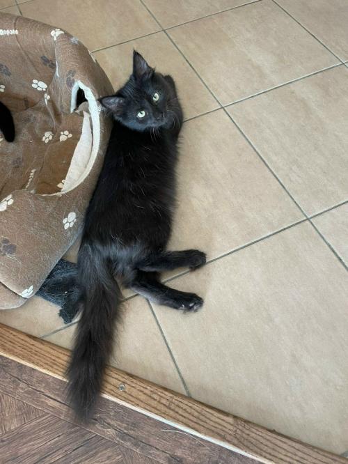 Засиделся в девках. 05