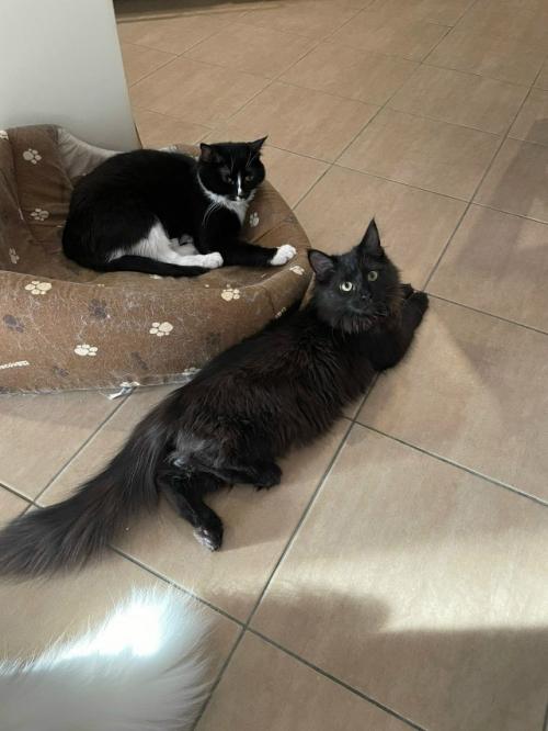 Засиделся в девках. 03