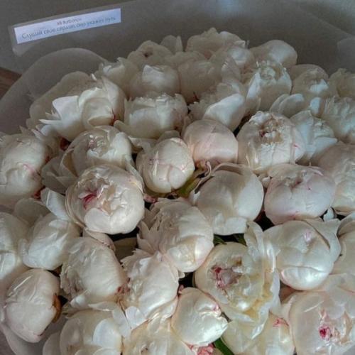 Energy: как повысить женскую энергию. 04 Energy: как повысить женскую энергию. 04