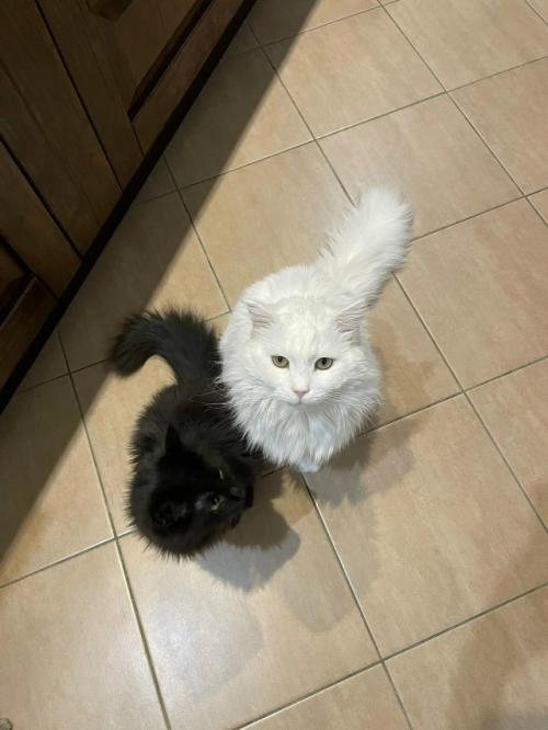 Засиделся в девках. 01