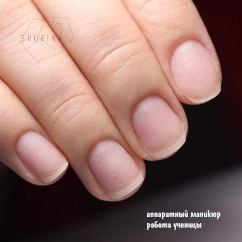 Еще один базовый курс позади. 02