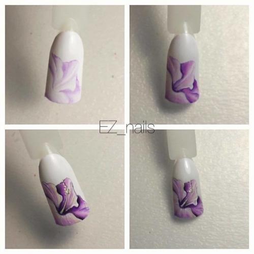 ? 10. Мастер-классов: мы рисуем райские цветы и невероятных бабочек! 06