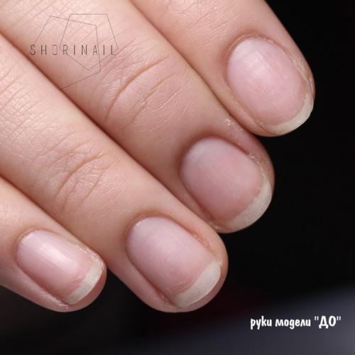 Еще один базовый курс позади. 01