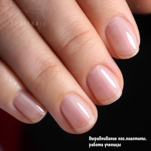 Еще один базовый курс позади. 03