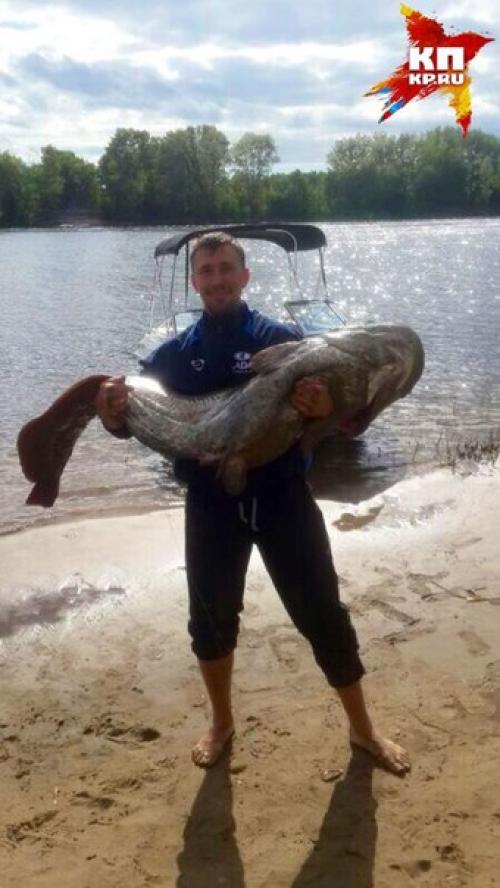 Жена хоккеиста Салавата Юлаева Мария Бодрова: когда Дениса увозят на носилках, меня можно класть вместе с ним. 01 Жена хоккеиста Салавата Юлаева Мария Бодрова: когда Дениса увозят на носилках, меня можно класть вместе с ним. 01