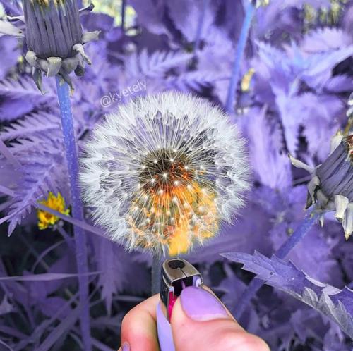 Как стать женственной девушкой? 01 Как стать женственной девушкой? 01