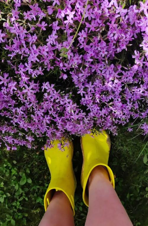 Ожидание и реальность. 08