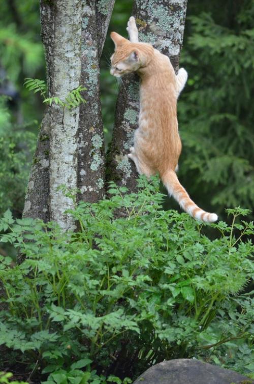 Ожидание и реальность. 04