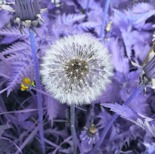 Как стать женственной девушкой? 03 Как стать женственной девушкой? 03