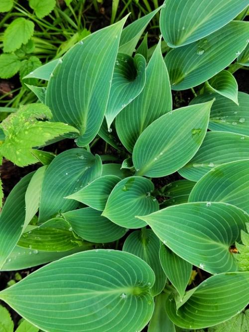 Ожидание и реальность. 05