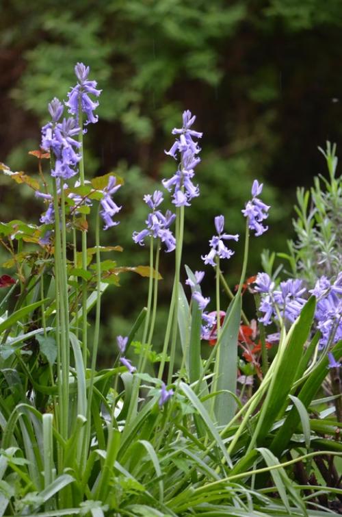 Ожидание и реальность. 03