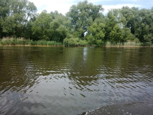 Я люблю мыться ковшиком. 01