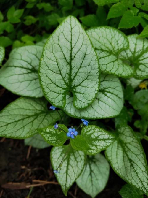 Ожидание и реальность. 07