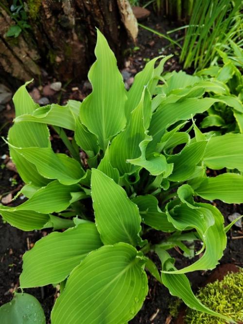 Ожидание и реальность. 06