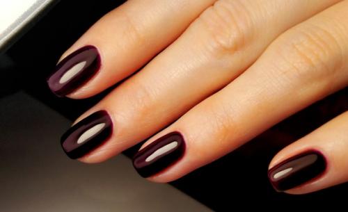 Креветки в чесночном соусе. 09 Креветки в чесночном соусе. 09