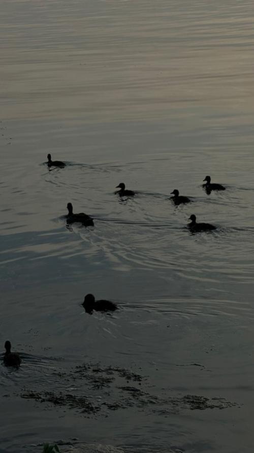Чем больше летаю по миру, тем больше убеждаюсь в том, что Россия - самая разнообразная страна для путешествий. 01