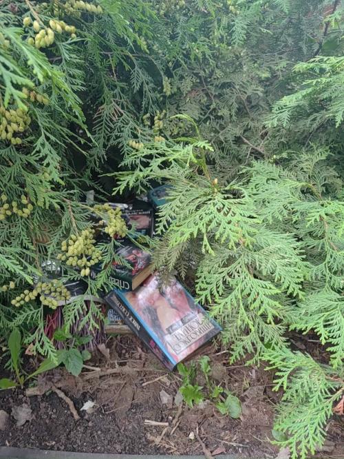 Неделя 34 / 52. 02