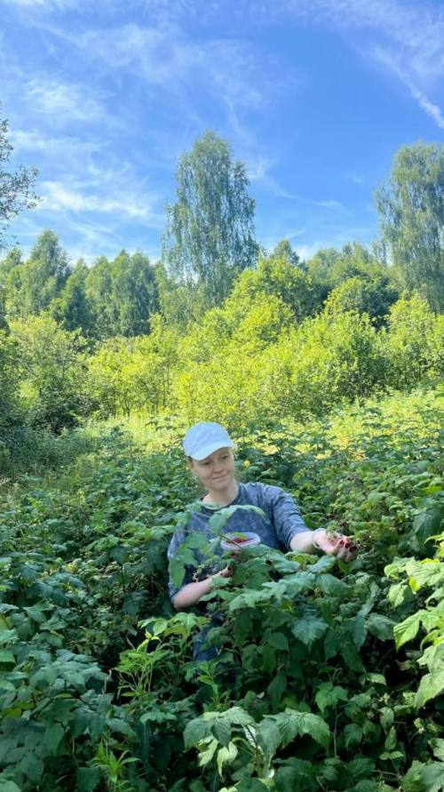 Лето закончилось, бабье лето, похоже, тоже закончилось. 04 Лето закончилось, бабье лето, похоже, тоже закончилось. 04