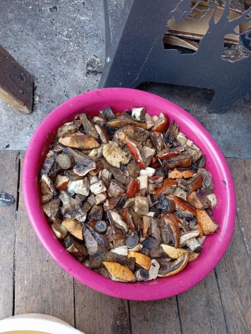 У меня есть лес, и это мой дом. 01 У меня есть лес, и это мой дом. 01