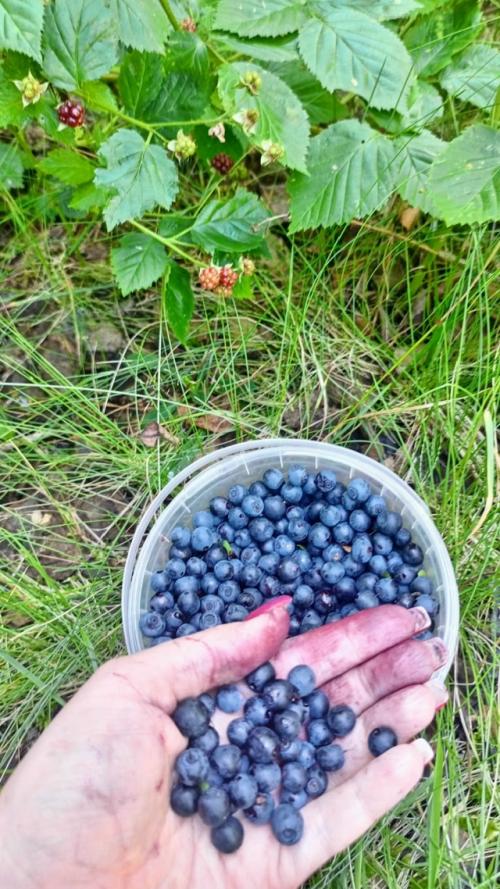 Лето закончилось, бабье лето, похоже, тоже закончилось. 06 Лето закончилось, бабье лето, похоже, тоже закончилось. 06