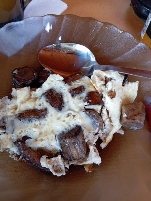 У меня есть лес, и это мой дом. 02 У меня есть лес, и это мой дом. 02