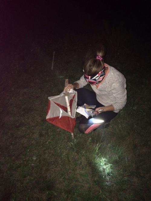 Что для меня спортивное ориентирование? 09