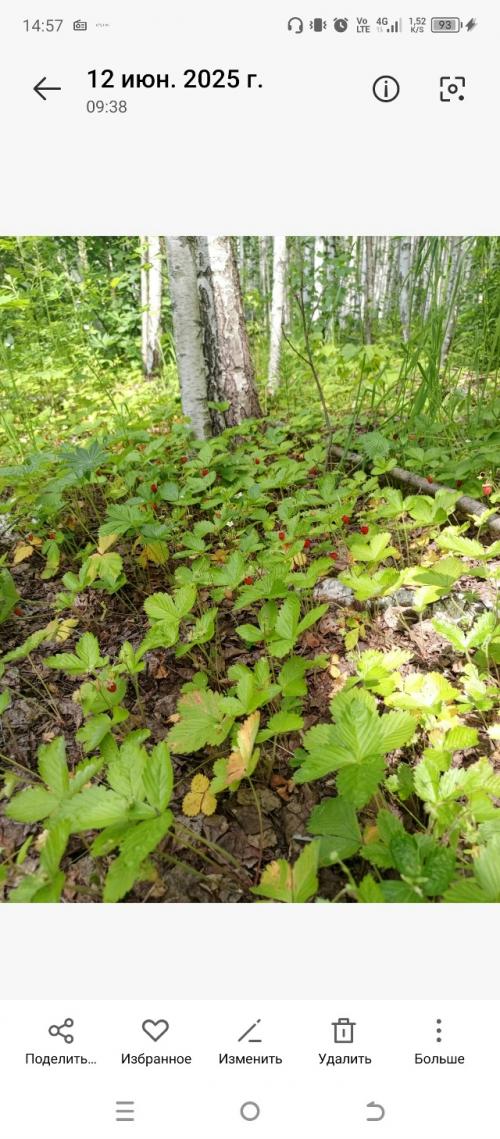 Лето закончилось, бабье лето, похоже, тоже закончилось. 01 Лето закончилось, бабье лето, похоже, тоже закончилось. 01