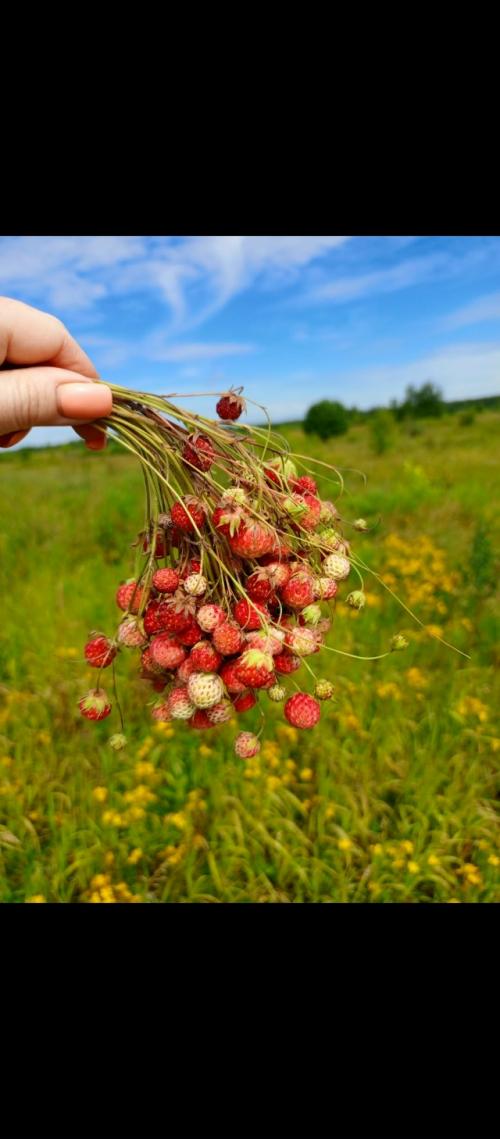 Лето закончилось, бабье лето, похоже, тоже закончилось. 03 Лето закончилось, бабье лето, похоже, тоже закончилось. 03