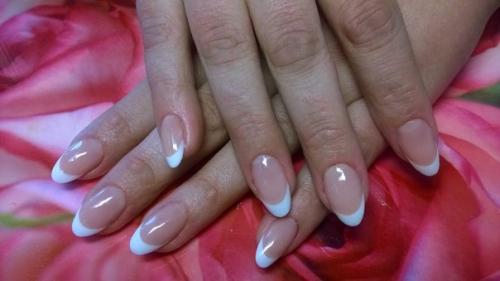 Краснохвостая игла - зебра. 04 Краснохвостая игла - зебра. 04