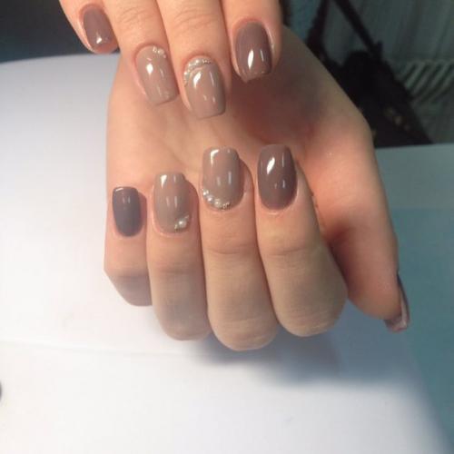 Краснохвостая игла - зебра. 06 Краснохвостая игла - зебра. 06