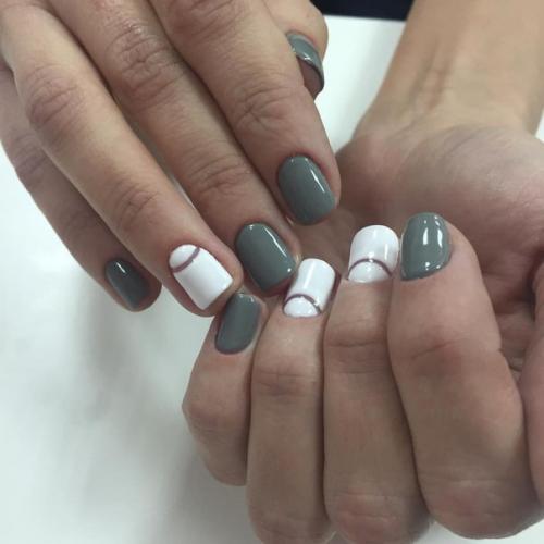 Краснохвостая игла - зебра. 01 Краснохвостая игла - зебра. 01