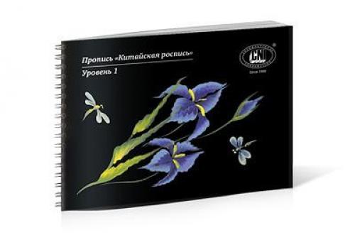 Девочки кто нибудь такие прописи заказывал? 01