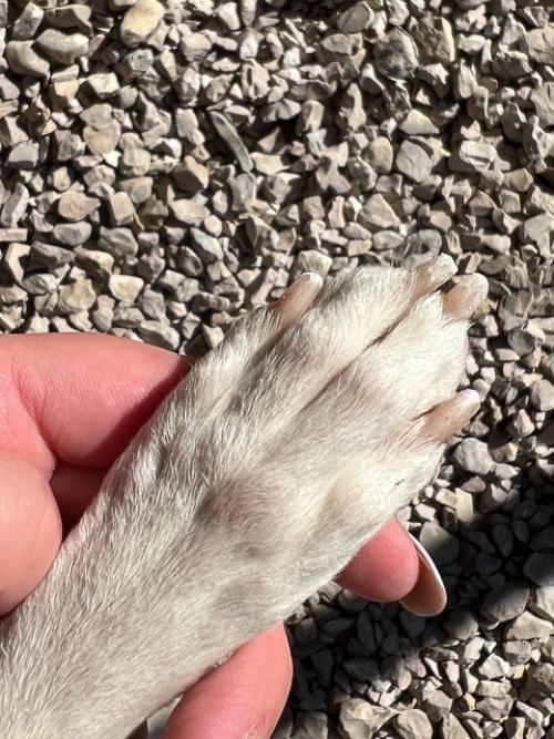 Хочу поделится своим отзывом и услышать еще ваши мнения, вдруг кому-то будет полезно. 02 Хочу поделится своим отзывом и услышать еще ваши мнения, вдруг кому-то будет полезно. 02