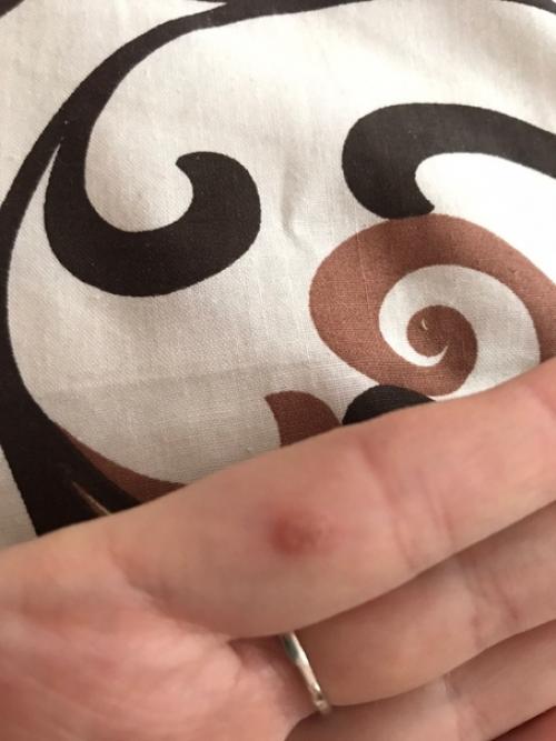 Кто нибудь может сказать что это? 02