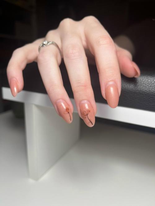 * вампирский вайб *. 02