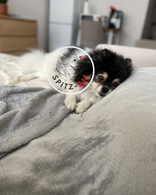 Добрый денечек, дорогой куратор! 02 Добрый денечек, дорогой куратор! 02