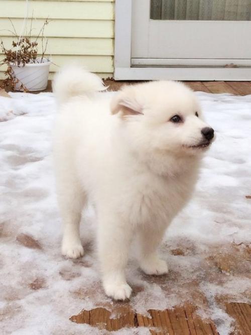 Выщипывание бровей, стоит ли? 01