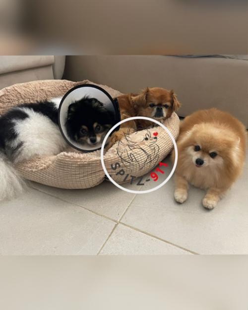 Добрый денечек, дорогой куратор! 04 Добрый денечек, дорогой куратор! 04