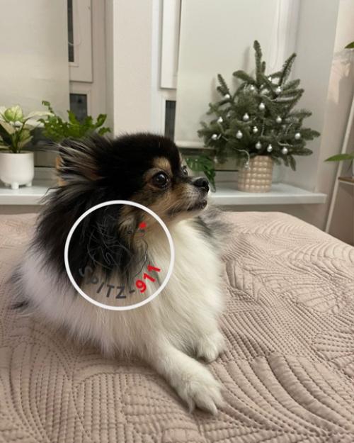 Добрый денечек, дорогой куратор! 01 Добрый денечек, дорогой куратор! 01