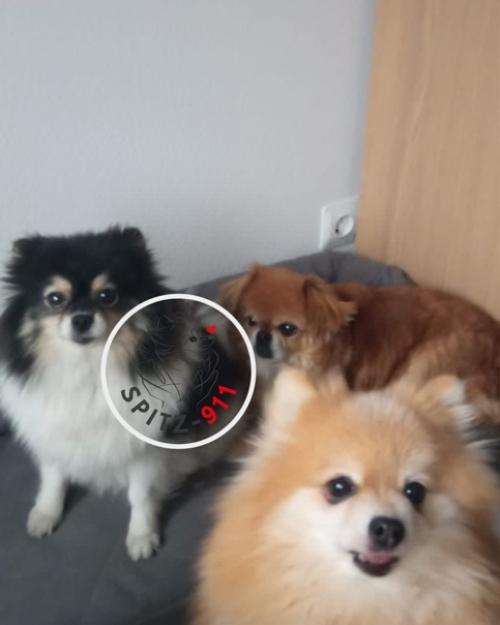 Добрый денечек, дорогой куратор! 03 Добрый денечек, дорогой куратор! 03