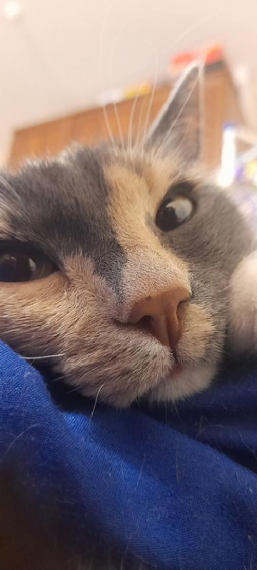 Недельник 8/52. Шо? Опять? Ну - у - у - у. 02 Недельник 8/52. Шо? Опять? Ну - у - у - у. 02