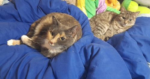 Недельник 8/52. Шо? Опять? Ну - у - у - у. 01 Недельник 8/52. Шо? Опять? Ну - у - у - у. 01