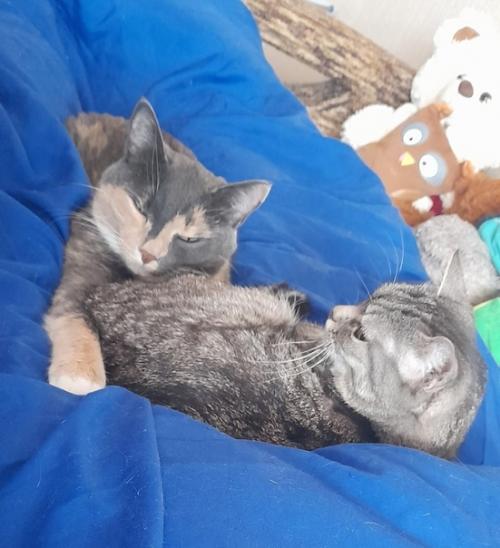 Недельник 8/52. Шо? Опять? Ну - у - у - у. 03 Недельник 8/52. Шо? Опять? Ну - у - у - у. 03