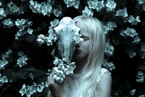 Х о Ч у Т в о Р и Т Ь. 01